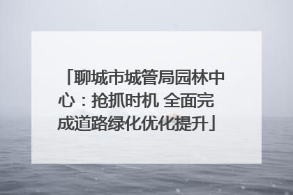 聊城市城管局园林中心：抢抓时机 全面完成道路绿化优化提升