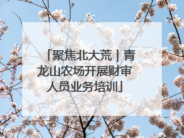 聚焦北大荒｜青龙山农场开展财审人员业务培训