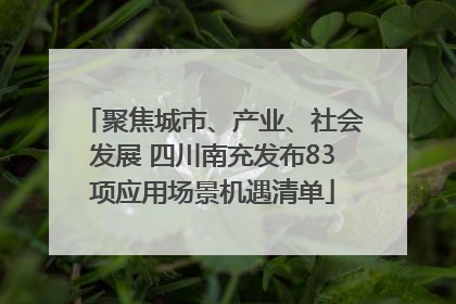 聚焦城市、产业、社会发展 四川南充发布83项应用场景机遇清单