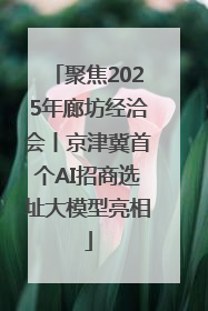 聚焦2025年廊坊经洽会丨京津冀首个AI招商选址大模型亮相