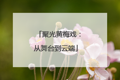 聚光黄梅戏：从舞台到云端