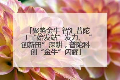 聚势金牛 智汇普陀〡“始发站”发力、“创新田”深耕，普陀科创“金牛”闪耀