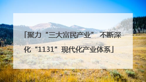 聚力“三大富民产业” 不断深化“1131”现代化产业体系