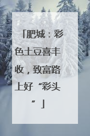 肥城：彩色土豆喜丰收，致富路上好“彩头”