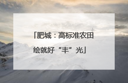 肥城：高标准农田绘就好“丰”光