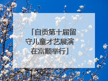 自贡第十届留守儿童才艺展演在富顺举行