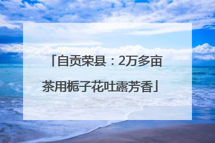 自贡荣县：2万多亩茶用栀子花吐露芳香