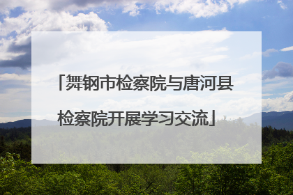舞钢市检察院与唐河县检察院开展学习交流