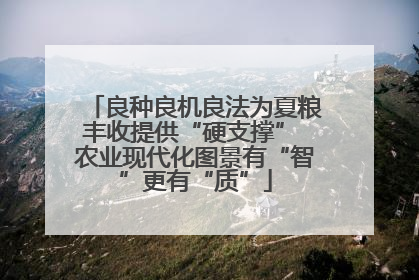 良种良机良法为夏粮丰收提供“硬支撑” 农业现代化图景有“智”更有“质”