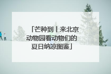 芒种到丨来北京动物园看动物们的夏日纳凉图鉴