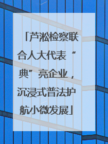 芦淞检察联合人大代表“典”亮企业，沉浸式普法护航小微发展