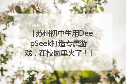 苏州初中生用DeepSeek打造专属游戏，在校园里火了！