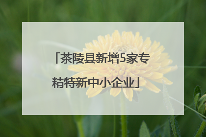 茶陵县新增5家专精特新中小企业
