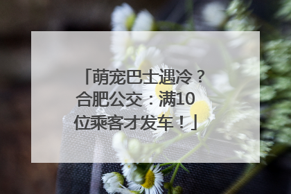萌宠巴士遇冷？合肥公交：满10位乘客才发车！