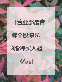 营业部最青睐个股曝光 3股净买入超亿元