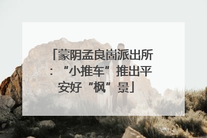 蒙阴孟良崮派出所：“小推车”推出平安好“枫”景