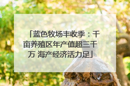 蓝色牧场丰收季：千亩养殖区年产值超三千万 海产经济活力足