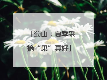 蜀山：夏季采摘“果”真好