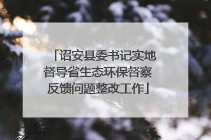 诏安县委书记实地督导省生态环保督察反馈问题整改工作