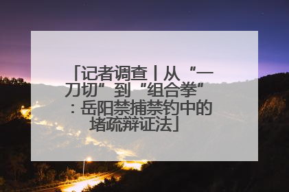 记者调查丨从“一刀切”到“组合拳”：岳阳禁捕禁钓中的堵疏辩证法