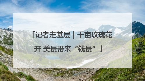 记者走基层｜千亩玫瑰花开 美景带来“钱景”