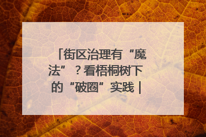街区治理有“魔法”？看梧桐树下的“破圈”实践｜我在街区当书记
