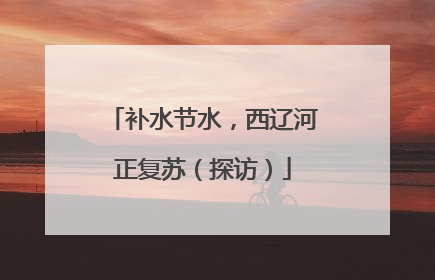 补水节水，西辽河正复苏（探访）