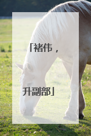 褚伟，升副部