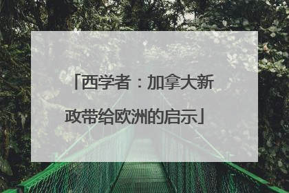西学者：加拿大新政带给欧洲的启示