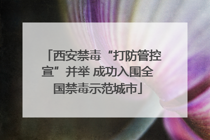 西安禁毒“打防管控宣”并举 成功入围全国禁毒示范城市