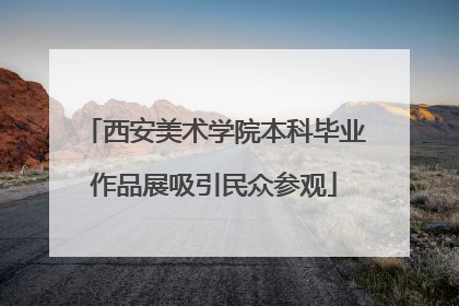 西安美术学院本科毕业作品展吸引民众参观