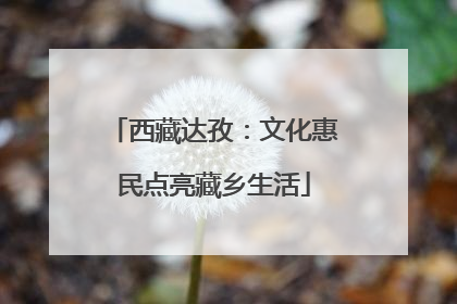 西藏达孜：文化惠民点亮藏乡生活