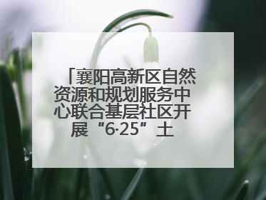 襄阳高新区自然资源和规划服务中心联合基层社区开展“6·25”土地日宣传活动