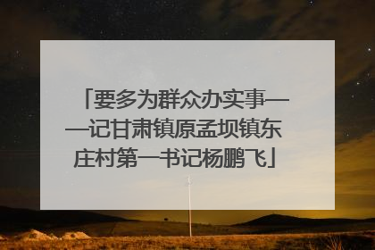 要多为群众办实事——记甘肃镇原孟坝镇东庄村第一书记杨鹏飞
