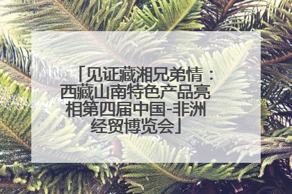 见证藏湘兄弟情：西藏山南特色产品亮相第四届中国-非洲经贸博览会