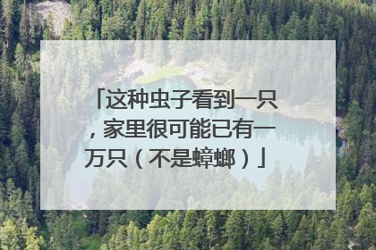 这种虫子看到一只，家里很可能已有一万只（不是蟑螂）