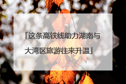 这条高铁线助力湖南与大湾区旅游往来升温
