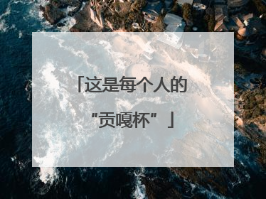 这是每个人的“贡嘎杯”