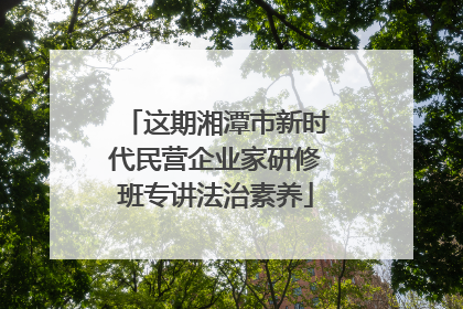这期湘潭市新时代民营企业家研修班专讲法治素养