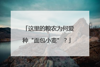 这里的粮农为何爱种“面包小麦”？