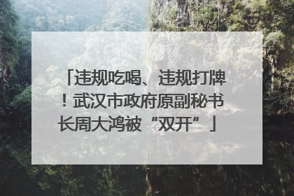 违规吃喝、违规打牌！武汉市政府原副秘书长周大鸿被“双开”