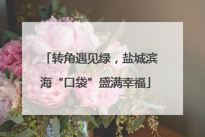转角遇见绿，盐城滨海“口袋”盛满幸福