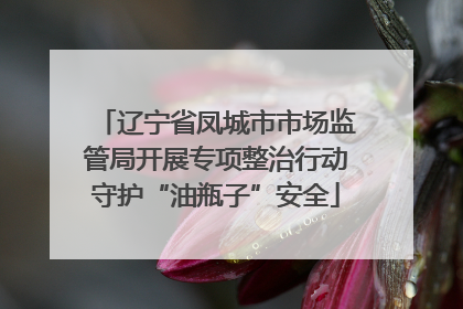 辽宁省凤城市市场监管局开展专项整治行动守护“油瓶子”安全