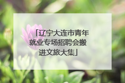 辽宁大连市青年就业专场招聘会搬进文旅大集