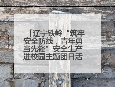 辽宁铁岭“筑牢安全防线，青年勇当先锋”安全生产进校园主题团日活动举行