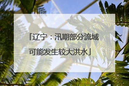 辽宁：汛期部分流域可能发生较大洪水