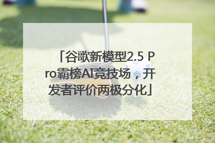 谷歌新模型2.5 Pro霸榜AI竞技场，开发者评价两极分化
