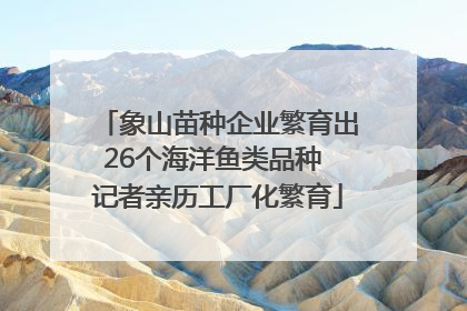 象山苗种企业繁育出26个海洋鱼类品种 记者亲历工厂化繁育