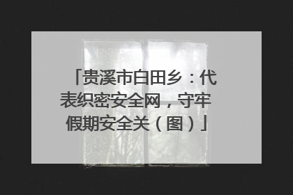 贵溪市白田乡：代表织密安全网，守牢假期安全关（图）