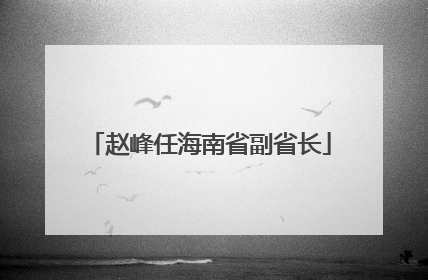赵峰任海南省副省长